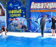 Акватория Выступление дельфинов