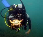 Подводный туризм - Дайвинг в Крыму