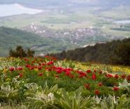 Гора Лысая в мае. Крым