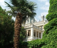 Пальма в Массандровском дворце