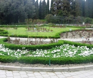 Никитский ботанический сад Фото