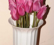 Выставка тюльпанов