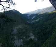 Склоны крымских гор покрытые лесом